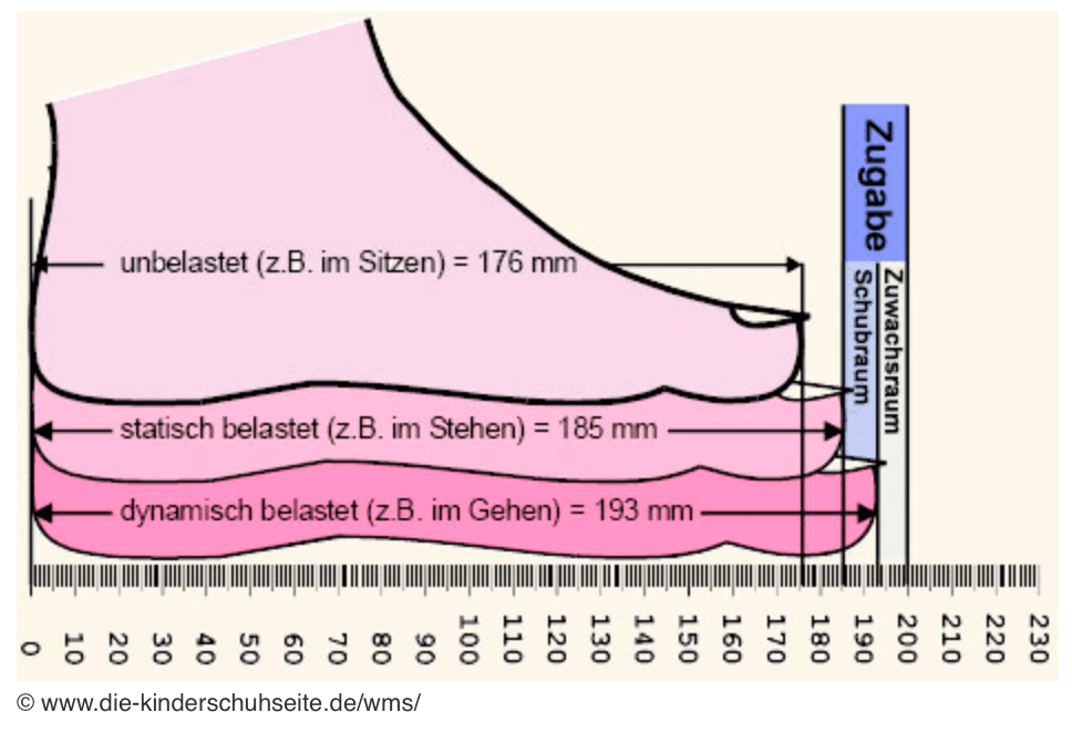Grafik: So misst du Kinderfüße richtig aus