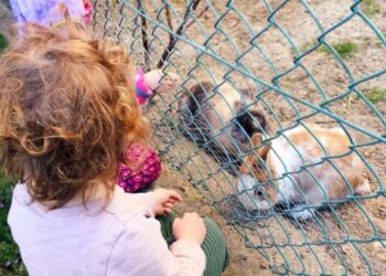 umweltbewust umweltbewusst leben kinder tipps minimalismus umweltschonend lebensweise ökologischer gedanke ökologisch fußabdruck welt leben nachhaltig