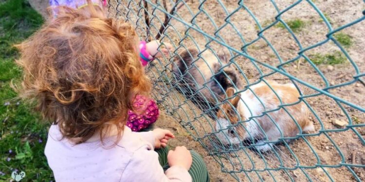 umweltbewust umweltbewusst leben kinder tipps minimalismus umweltschonend lebensweise ökologischer gedanke ökologisch fußabdruck welt leben nachhaltig