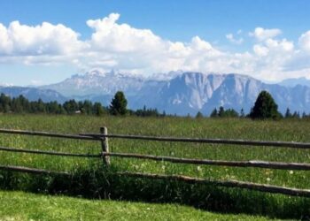 Villanderer Alm Mair in Plun Hütte Wanderwege mit Kinderwagen Südtirol Familienwanderung Tipp Ausflugsziel für die ganze Familie Suedtirol wandern mit Kind Rinderplatz unterwegs mit Kind Elternblog Südtirol wandern Klettersteig Kinder Ausflug Familiensonntag Tipp Wandertipp Empfehlung Familienausflug Mamablog Elternblog Südtirol Familienblog Suedtirol Hundeblog Hundeblogger