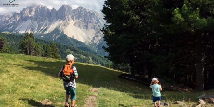 Rossalm Pfannspitze Wandertipp Kind Familienausflug Wanderung Brixen Bressanone Südtirol Empfehlung Suedtirol Wanderempfehlung Kinder Familie Ausflugstipp Pfannspitz Brixen Afers St. Andrä Plose Wanderweg Hotel Schlemmer RossAlm Spielplatz Bergsee Bootsteich Spielplatz Berg Plose Rossalm Spieleparadies Rossalm Pfannspitz