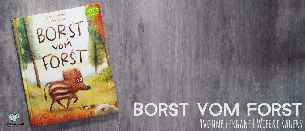 Rezession Borst vom Forst Kinderbuch Buchtipp Buchrezession Magellan Verlag natürliches Kinderbuch Buchtipp für Kindergartenkinder Buch für den Herbst Borst vom Forst vorlesen
