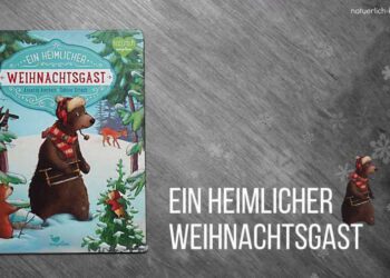 Ein heimlicher Weihnachtsgast Buchtipp Weihnachtsbuch für Kinder