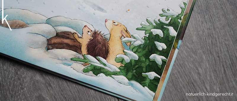 Ein heimlicher Weihnachtsgast das beste Weihnachtsbuch für Kinder