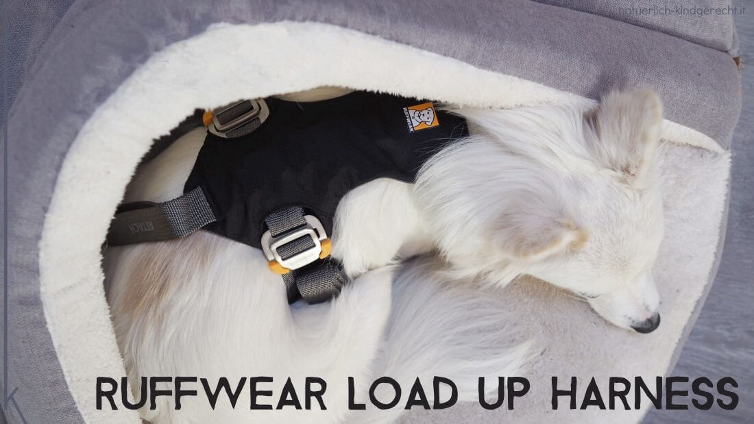 Das-Ruffwear-Load-up-Harness-Sicherheitsgeschirr-für-den-Hund-im-Auto
