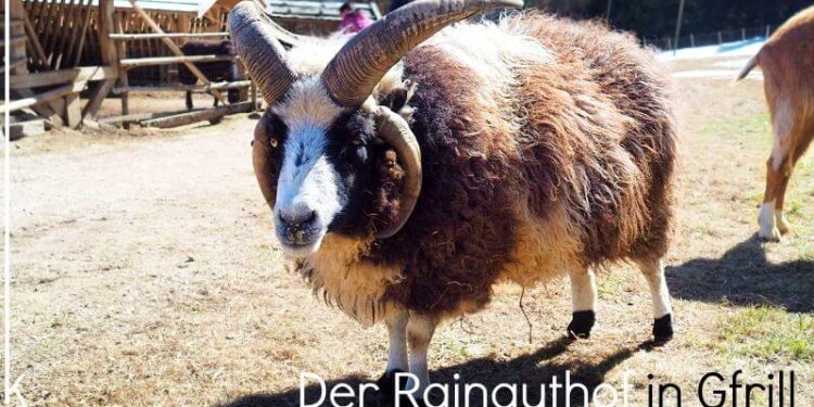 Besuch-in-der-Tierwelt-Rainguthof-in-Tisens-Gfrill
