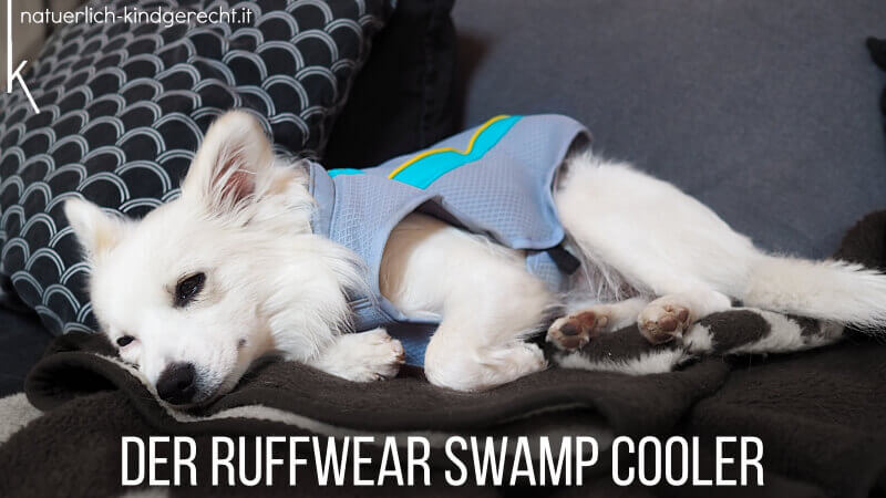 Der Ruffwear Swamp Cooler für Hunde im Sommer
