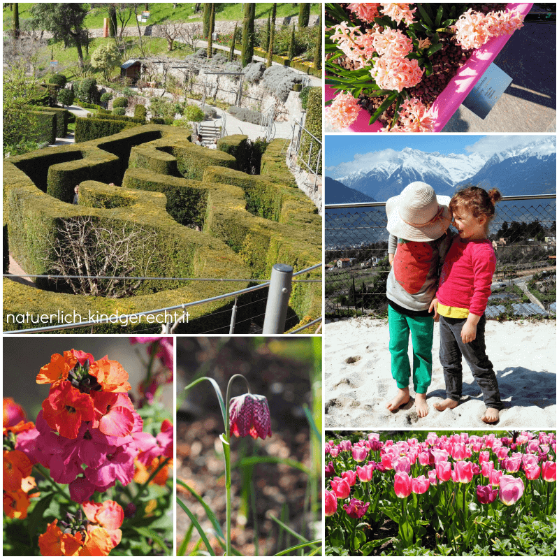 Schloss-Trauttmansdorff-Gärten-Blumen-und-Sandstrand