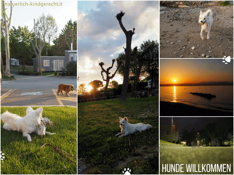 Hundecamping-am-Gardasee-Camping-Village-San-Francesco