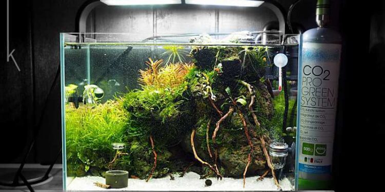 Abbild eines Kinderaquariums von Blau aquaristik in der Größe 40x28x25 cm