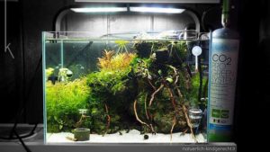 Ein Aquarium für Kinder? Hier gibt es alle Infos! | Natürlich glücklich