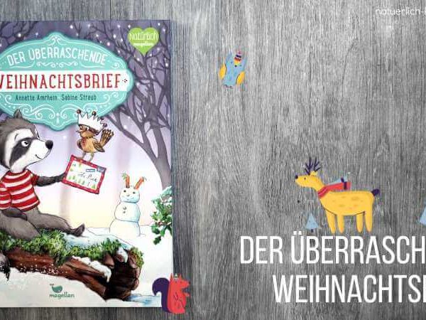 Buchtipp Weihnachtsbuch für Kinder Der überraschende Weihnachtsbrief