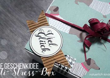 Anti-Stress-Box Geschenkidee Anti-Stress-Paket-2