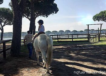 Spiaggia Romea Reiturlaub Lido delle Nazioni Reiturlaub in Comacchio