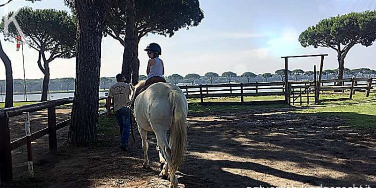 Spiaggia Romea Reiturlaub Lido delle Nazioni Reiturlaub in Comacchio