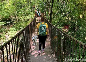 Mama mit Rucksack, Hund und zwei Kindern wandert auf dem Kalterer Friedensweg in Südtirol