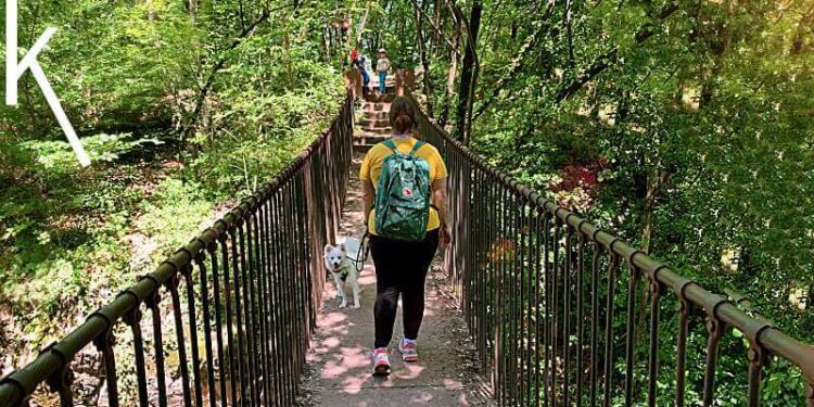 Mama mit Rucksack, Hund und zwei Kindern wandert auf dem Kalterer Friedensweg in Südtirol