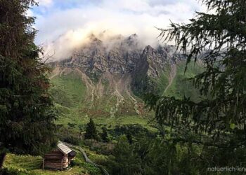 Hüttenübernachtung-mit-Kindern-Enzianhütte-Zirog
