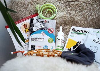 Natürliche Zeckenprophylaxe für den Hund