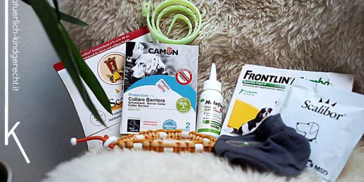 Natürliche Zeckenprophylaxe für den Hund