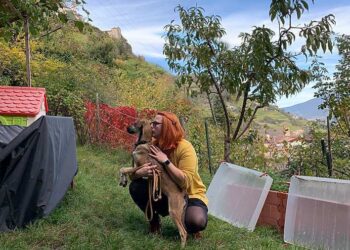 Als-Mama-überfordert-ein-paar-persönliche-Gedanken