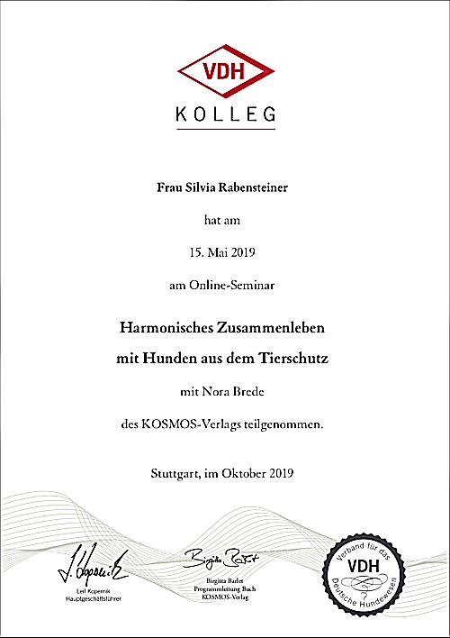 So gelingt ein harmonisches Zusammenleben mit dem Hund aus dem Tierschutz
