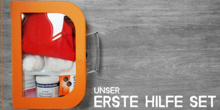Unser Erste-Hilfe-Set für Familien Inhalt Tipps