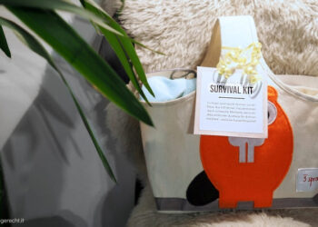 Survival Kit für frischgebackene Eltern Überlebensbox zur Geburt