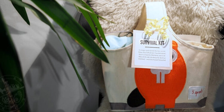 Survival Kit für frischgebackene Eltern Überlebensbox zur Geburt