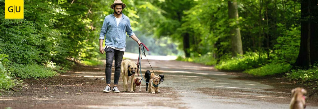 Masih Samin Sei höflich zu dienem Hund Rezension