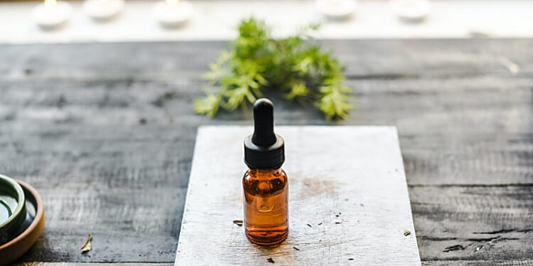 Die natürliche Hausapotheke und Reiseapotheke für Familien mit Kindern und Hund