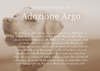 Tierschutzverein-Adozione-Argo-Kalabrien