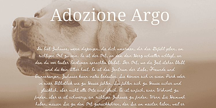 Tierschutzverein-Adozione-Argo-Kalabrien