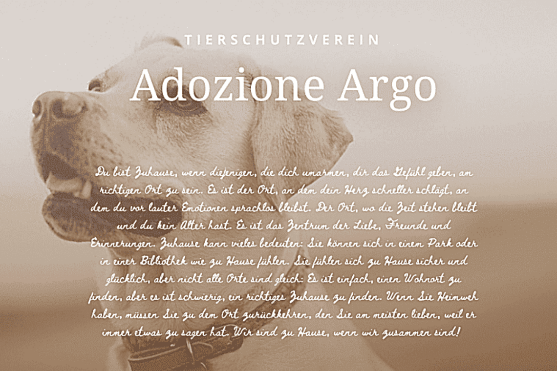Tierschutzverein-Adozione-Argo-Kalabrien