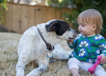 Kind-und-Hund-Familienhund