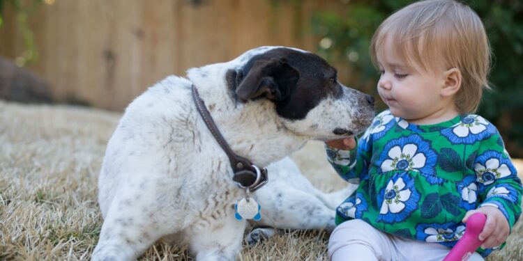 Kind-und-Hund-Familienhund
