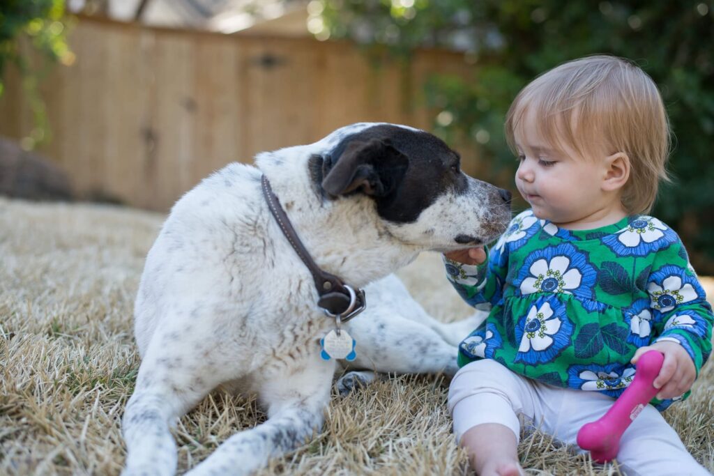 Kind-und-Hund-Familienhund