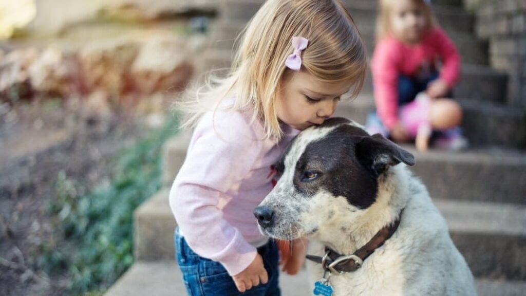 Kind-und-Hund-Regeln-im-gemischten-Haushalt