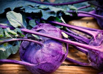 Kohlrabi mit Apfel Salat