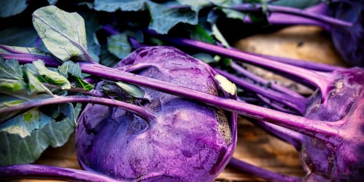 Kohlrabi mit Apfel Salat