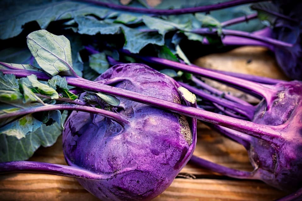 Kohlrabi mit Apfel Salat