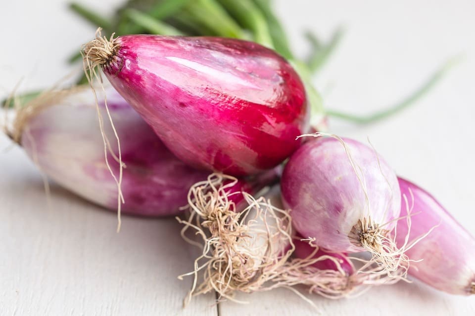 Kohlrabi mit Apfel Salat