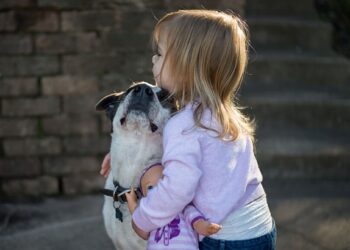 3-Regeln-im-Kinder-und-Hunde-Haushalt