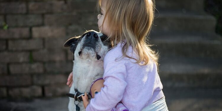 3-Regeln-im-Kinder-und-Hunde-Haushalt