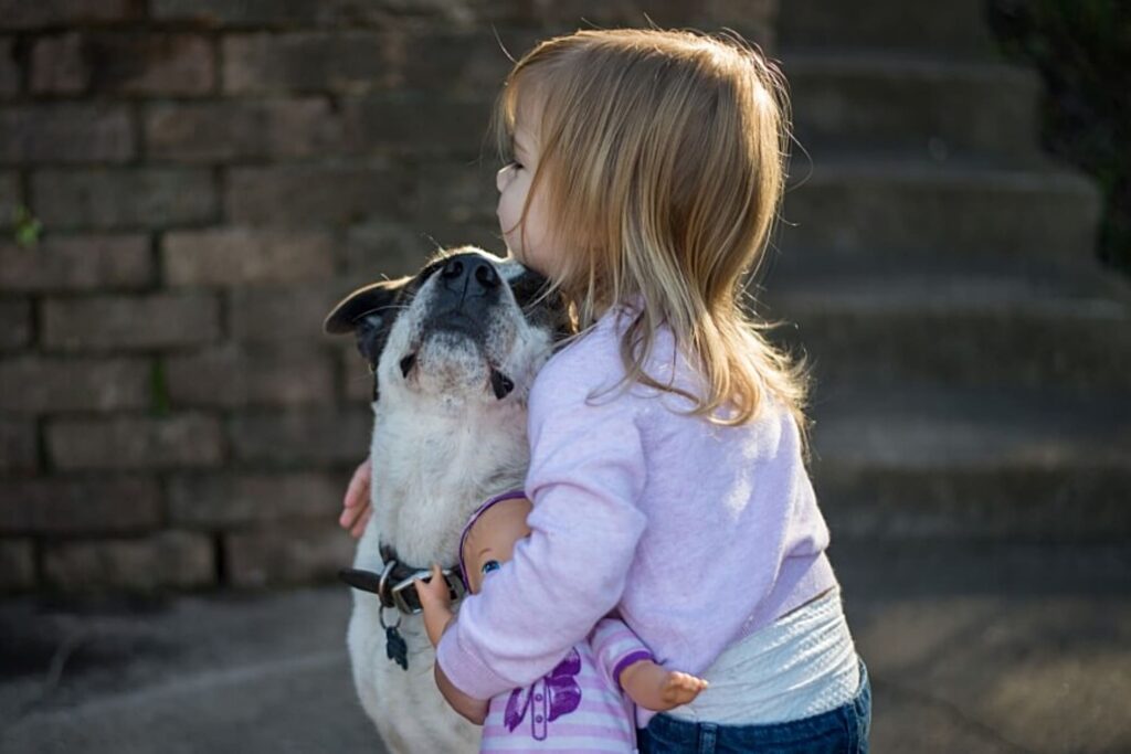 3-Regeln-im-Kinder-und-Hund-Haushalt