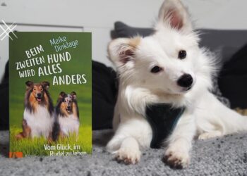 Beim zweiten Hund wird alles anders