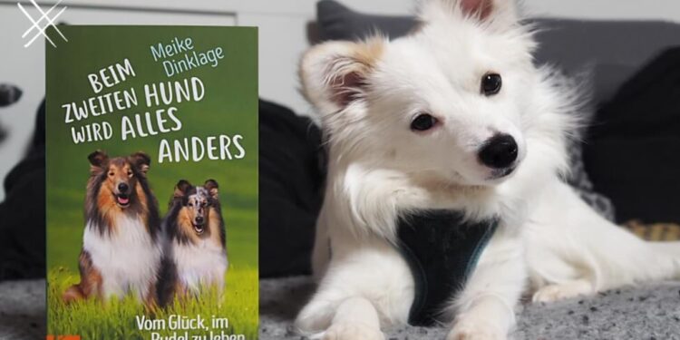 Beim zweiten Hund wird alles anders