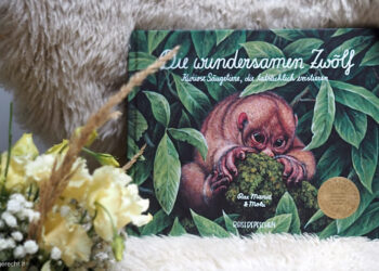 Die-wundersamen-Zwoelf-3