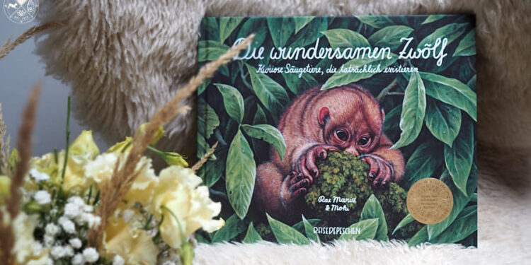 Die-wundersamen-Zwoelf-3