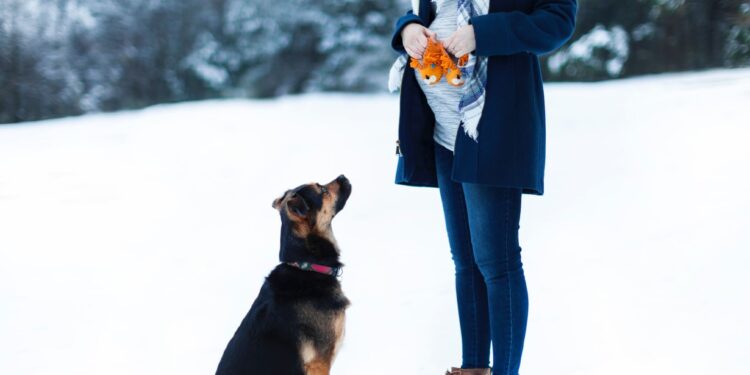 Schwangerschaft Baby und Hund schwanger mit Hund